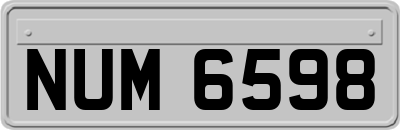 NUM6598