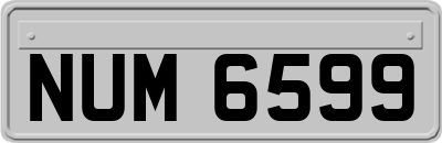 NUM6599