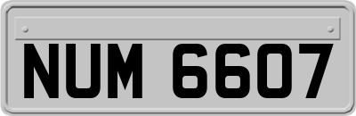 NUM6607