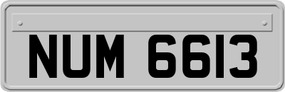 NUM6613