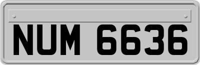 NUM6636