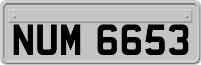 NUM6653