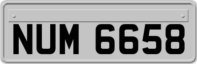 NUM6658