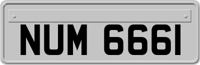 NUM6661