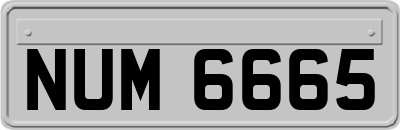 NUM6665
