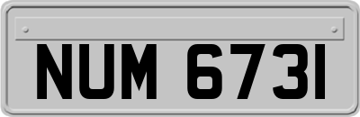 NUM6731