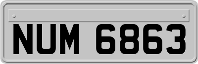 NUM6863