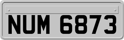 NUM6873