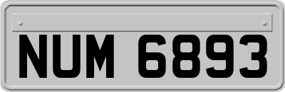 NUM6893
