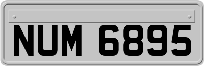 NUM6895