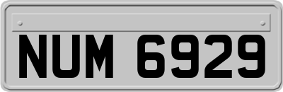 NUM6929