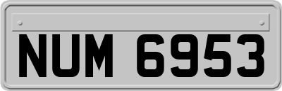NUM6953