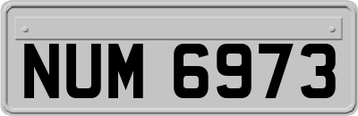NUM6973