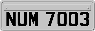 NUM7003