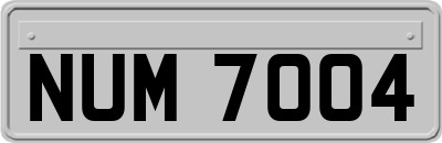 NUM7004