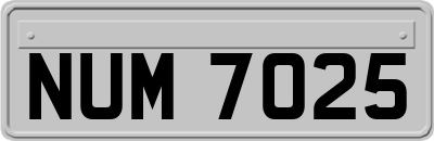 NUM7025