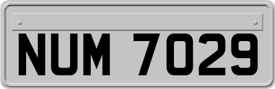 NUM7029
