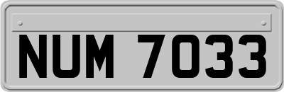 NUM7033