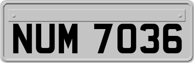 NUM7036
