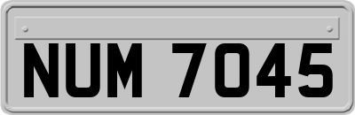 NUM7045