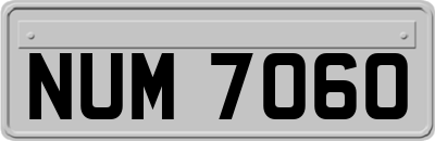 NUM7060