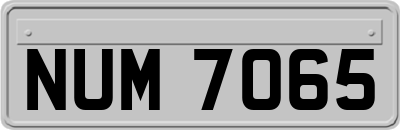 NUM7065