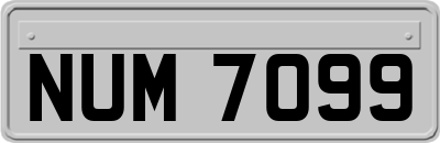 NUM7099