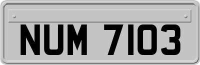 NUM7103