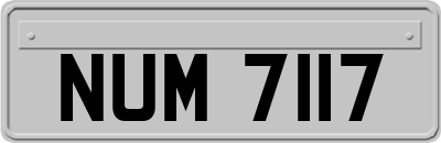 NUM7117