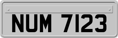 NUM7123