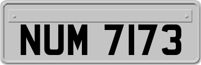 NUM7173