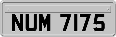 NUM7175