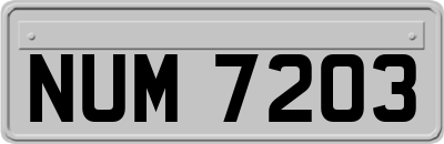 NUM7203