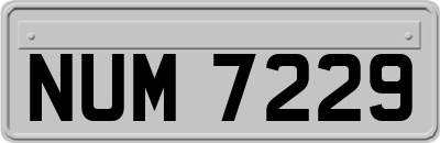 NUM7229