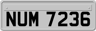 NUM7236