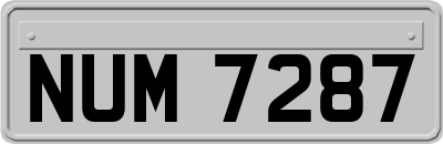 NUM7287