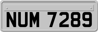 NUM7289