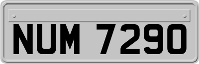 NUM7290