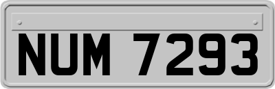 NUM7293
