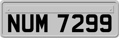 NUM7299