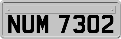 NUM7302