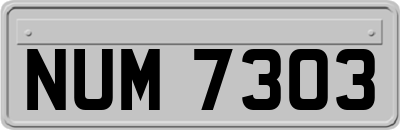 NUM7303