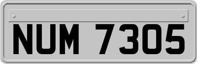 NUM7305