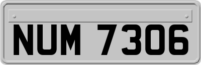 NUM7306
