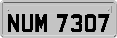 NUM7307