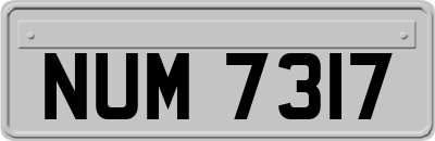 NUM7317