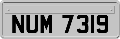 NUM7319