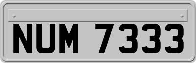 NUM7333