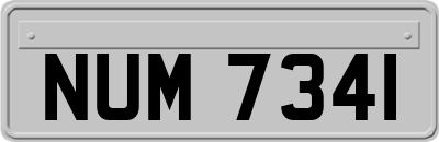 NUM7341