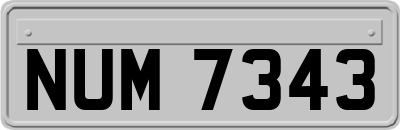 NUM7343